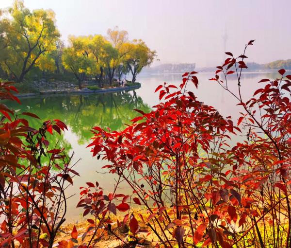 北京玉淵潭公園：如詩如畫的秋日美景