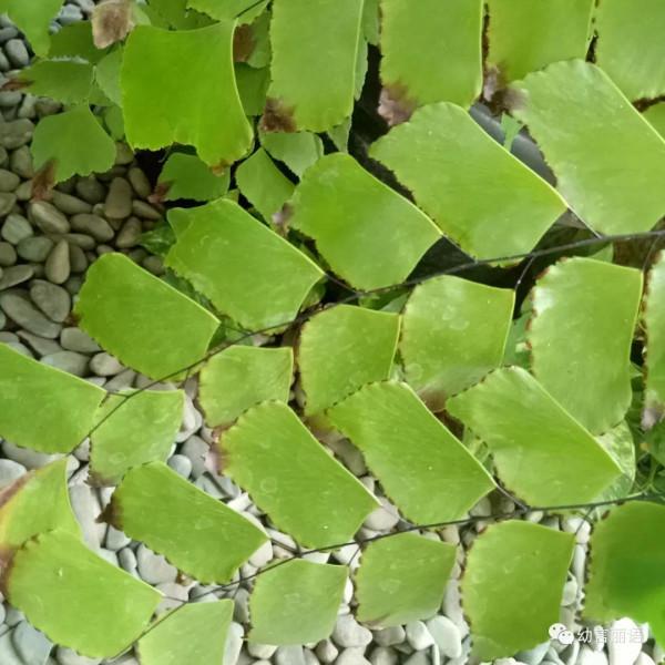 巴厘島旅遊之聽導遊講巴厘島 巴厘島旅遊之聽導遊講巴厘島