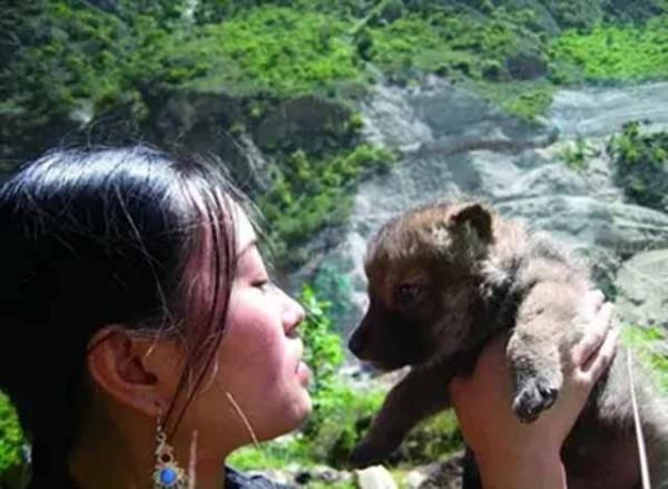 11年前，把狼當兒子帶回家的成都女孩，10年後在草原與它再次相認