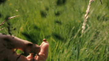 為什麼你越好,別人越想攻擊你? 為什麼你越好,別人越想攻擊你?