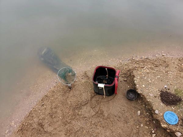 撿板栗不忘板鯽，入水口、倒樹旁真的是天然魚窩