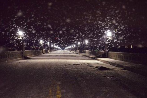 河南大雨後,上萬飛蛾鋪天蓋地,《地母經》的預言即將成真? 河南大雨後,上萬飛蛾鋪天蓋地,《地母經》的預言即將成真?