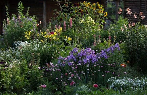 多少人的夢想!湖南姑娘用5年,在新疆禾木打造了個絕美花園 多少人的夢想!湖南姑娘用5年,在新疆禾木打造了個絕美花園