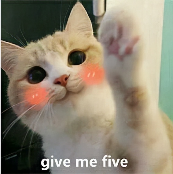 喵星人可愛表情包來了