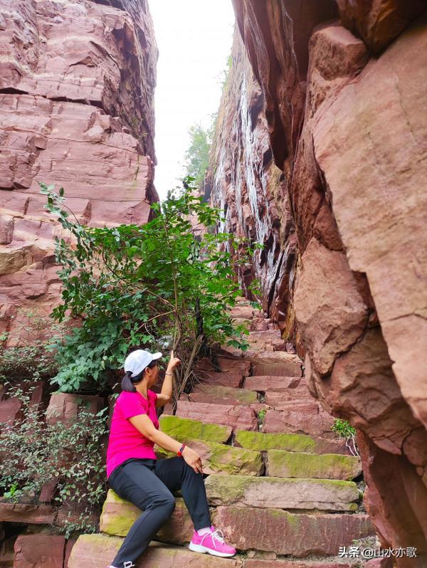 石家莊井陘錦山，雲鎖群山、霧漫叢林，雲橋飛渡，一顆橡果落下來