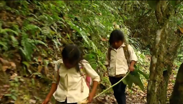 玻利維亞小孩為了上學，每天劃鋼索穿越300米峽谷，失誤就喪命