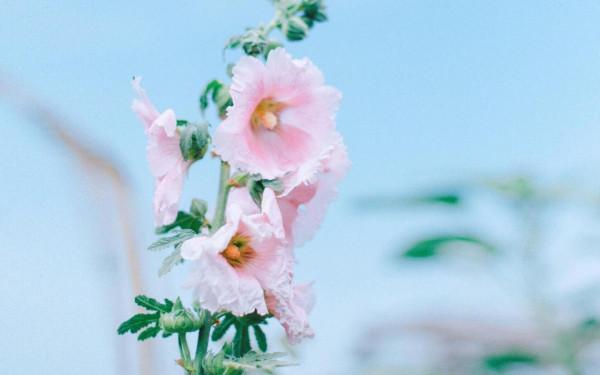 人到中年，假如老伴走了，拒絕這樣的東西，餘生還會幸福