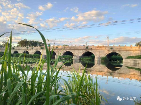 昌平這幾座姿態萬千的橋,每座都連著賞不夠的好風景 昌平這幾座姿態萬千的橋,每座都連著賞不夠的好風景