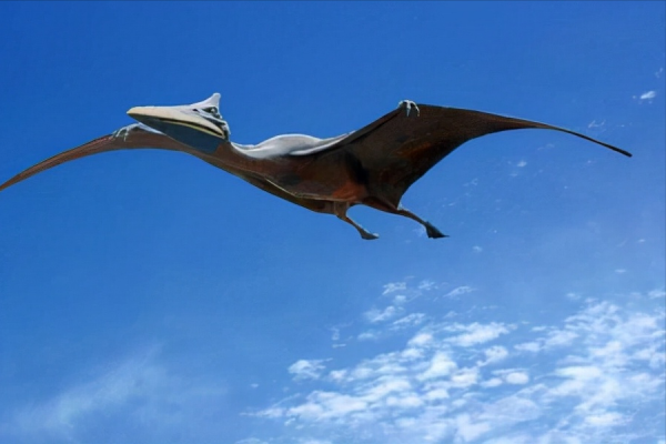 十大遠古巨獸排行榜,大象如點心鯊魚像幼崽,有一種至今還存在? 十大遠古巨獸排行榜,大象如點心鯊魚像幼崽,有一種至今還存在?