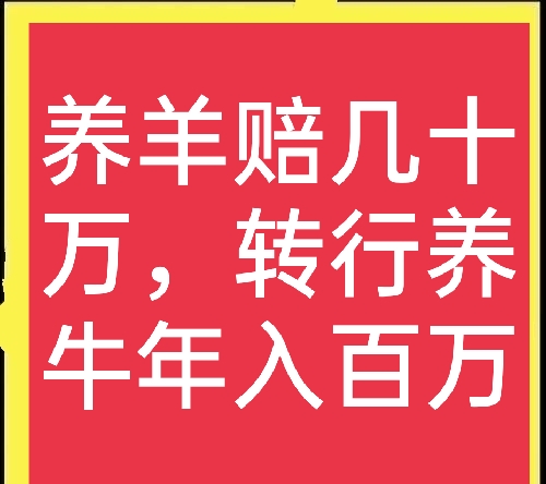 廣東老闆放棄工廠去養羊,很快虧損幾十萬,養牛一年又賺回來了 廣東老闆放棄工廠去養羊,很快虧損幾十萬,養牛一年又賺回來了
