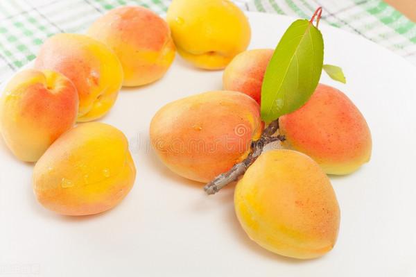 2022年運——天枰座（上升或者太陽）