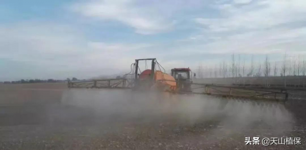 2021年棉花種植每畝地能賺2000元以上,你怎麼看? 2021年棉花種植每畝地能賺2000元以上,你怎麼看?