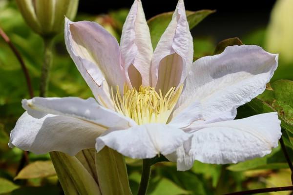 最有好爸爸潛質的4個星座，凡事都以身作則，營造良好的家庭氛圍