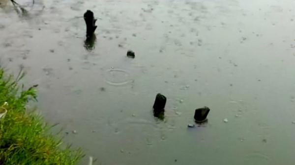 秋天愛吃龍蝦？還不帶上裝備出動，釣龍蝦的全套攻略送給大家