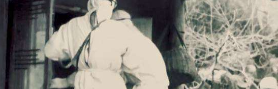 美國朝鮮戰場投毒，我國爆發大面積瘟疫，新中國上下一心粉碎奸計