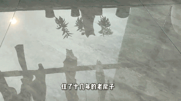 建議大家：若是不差錢，家裡添上這6件好物，便宜又好用