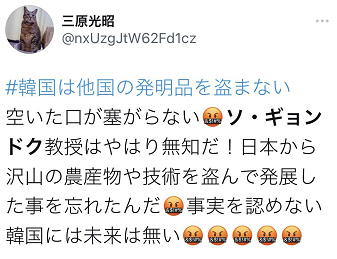 讀完環球網報道，韓教授批評“中國要奪走泡菜”，言論卻在日本“翻車”