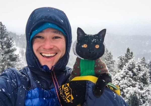 羨慕了！國外網友旅行時撿到一隻流浪貓，貓咪從此開始環遊世界