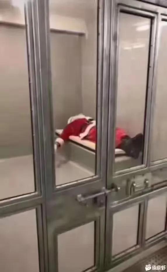 昨日外國人入境被隔離 昨日外國人入境被隔離