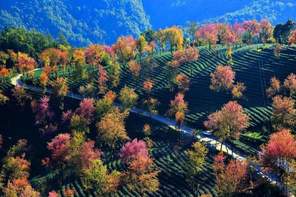 分享圖片——雲南風景如畫，美麗動人