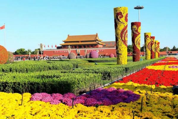 致敬自衛還擊的英雄 致敬自衛還擊的英雄