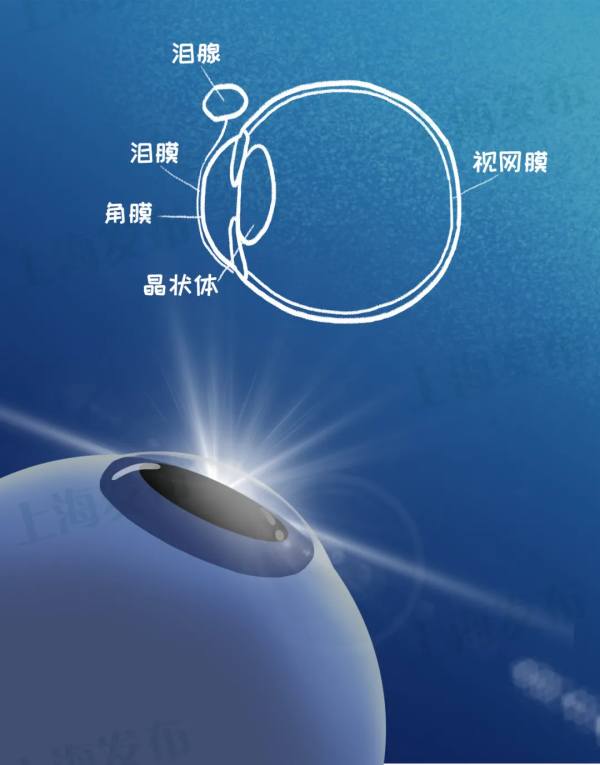 眼睛星球守護著你的安全感,癢/幹/畏光/敏感怎麼辦? 眼睛星球守護著你的安全感,癢/幹/畏光/敏感怎麼辦?