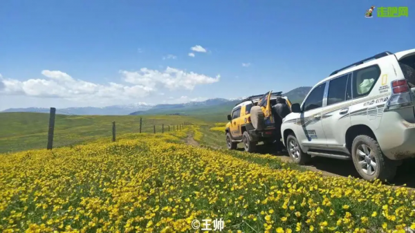 1028名日本人報名遊新疆？新疆顏值實錘了，一年四季，美麗不停歇