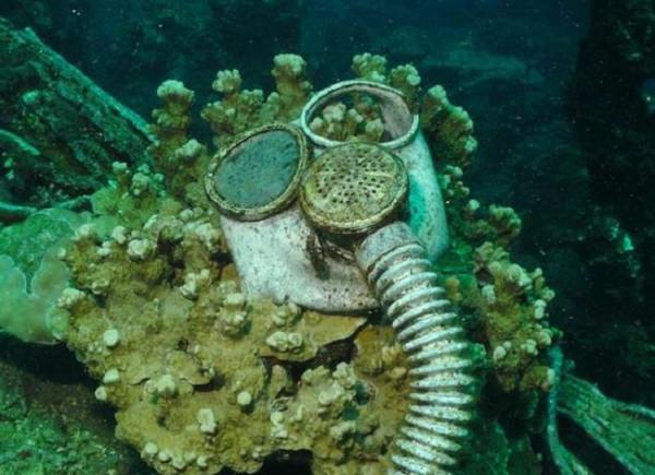 有些照片看似普通,卻讓人感到恐懼 有些照片看似普通,卻讓人感到恐懼