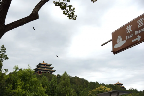 看故宮，看景山