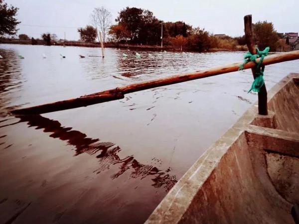 安徽水陽的“燕赤霞”