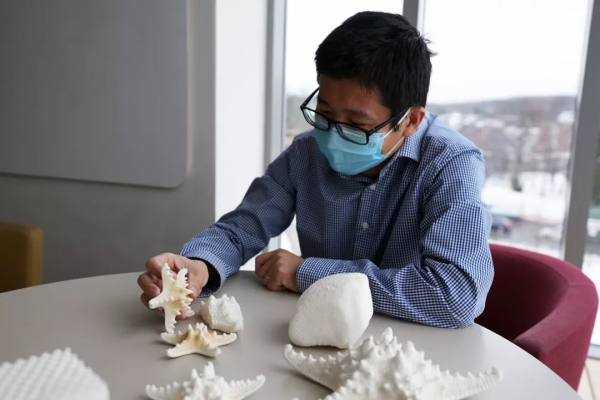 Science：華人團隊揭秘&OpenCurlyDoubleQuote;派大星&rdquo;骨骼，高強度新型材料正在路上