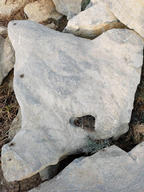 冬日競秀,怪石嶙峋 冬日競秀,怪石嶙峋