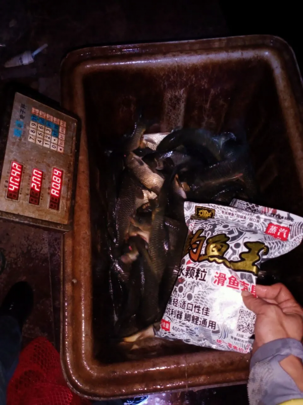 浮水顆粒——拿魚說話