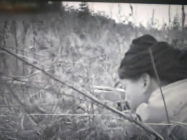 湘西巨匪楊永清落網記 湘西巨匪楊永清落網記