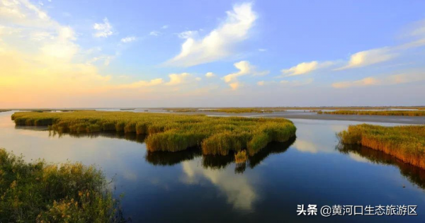 【黃河口生態旅遊區】新晉百強 華東第一! 【黃河口生態旅遊區】新晉百強 華東第一!