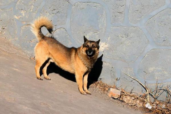 鄉愁 - 板裕村的黃昏