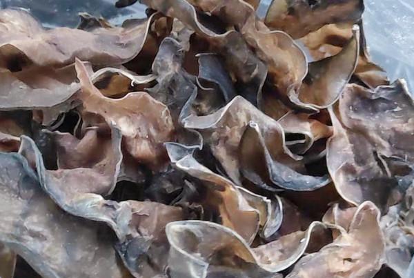 這5種蔬菜曬乾後，比新鮮的更好吃，冬天蒸包子燉肉吃，太香了