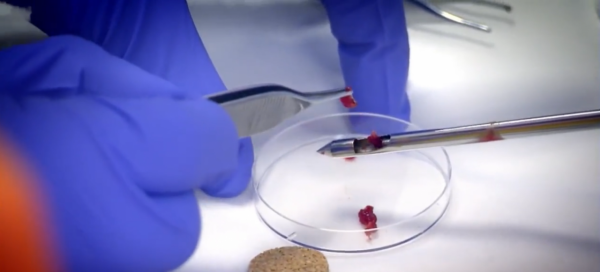 人類為何不敢同類相食?一旦染上致死率100%,揭露人類基因的秘密 人類為何不敢同類相食?一旦染上致死率100%,揭露人類基因的秘密