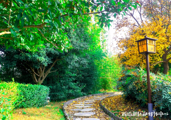 這樣的西鹹新區,愛了! 這樣的西鹹新區,愛了!