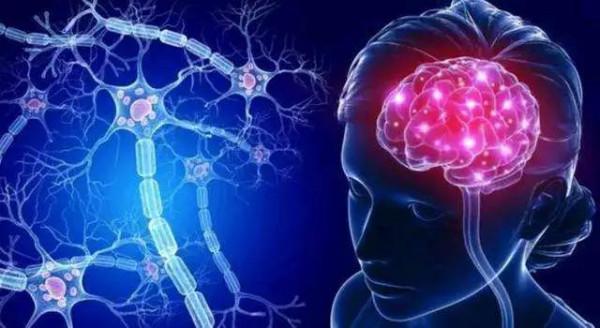 停止心跳後大腦意識能維持多久