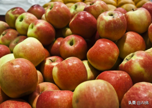美國人平均一年吃多少食物 美國人平均一年吃多少食物