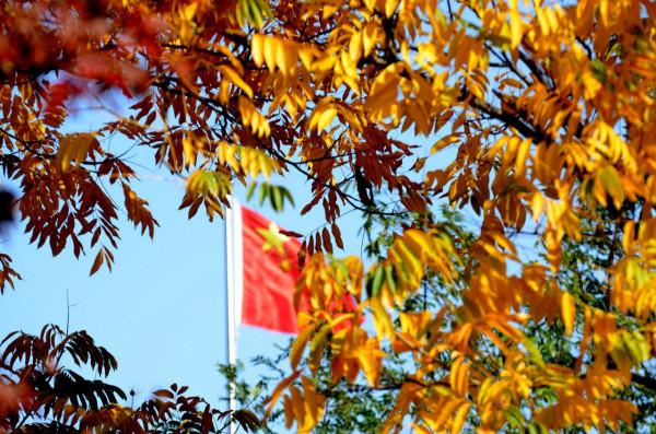 小雪日是誰打翻了大自然的調色盤讓張公湖初冬如此動人