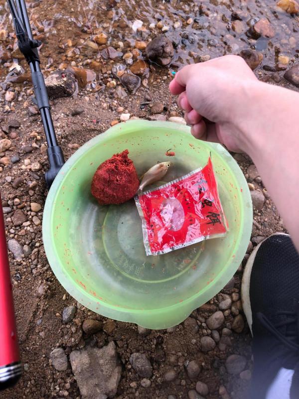 午後贛江邊-新魚竿開光 午後贛江邊-新魚竿開光