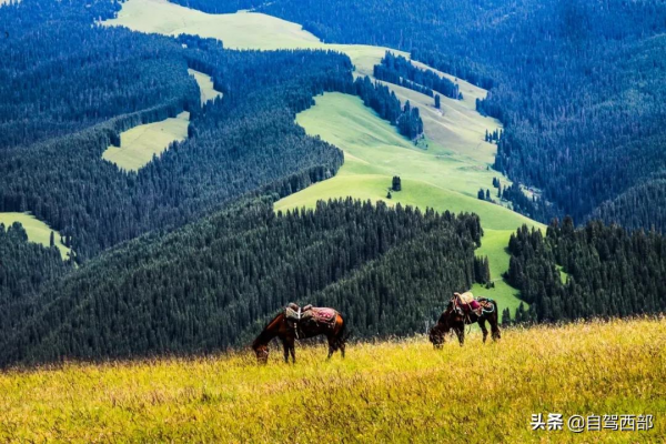 國家地理評選出114個“中國最美”的地方,你去過幾個? 國家地理評選出114個“中國最美”的地方,你去過幾個?