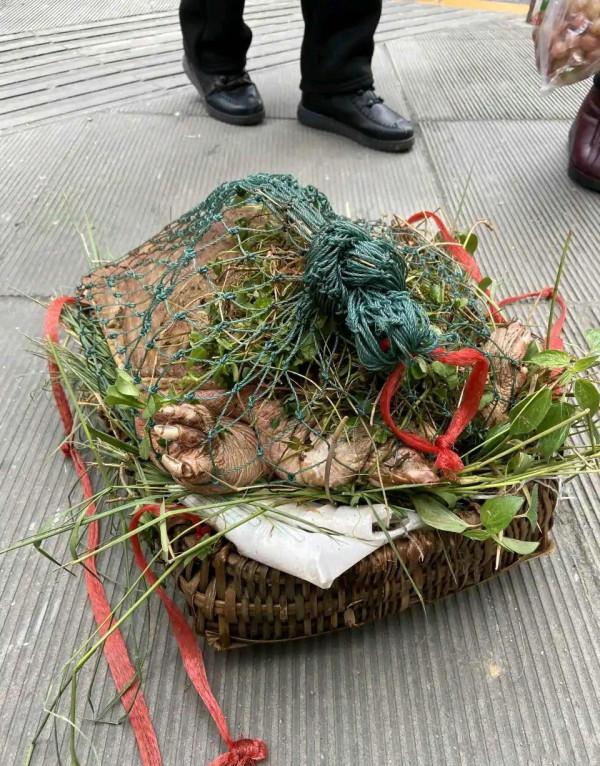 流溪河老鱉趴在水底曬太陽，被小夥設法釣起，路人：這是鎮河之鱉