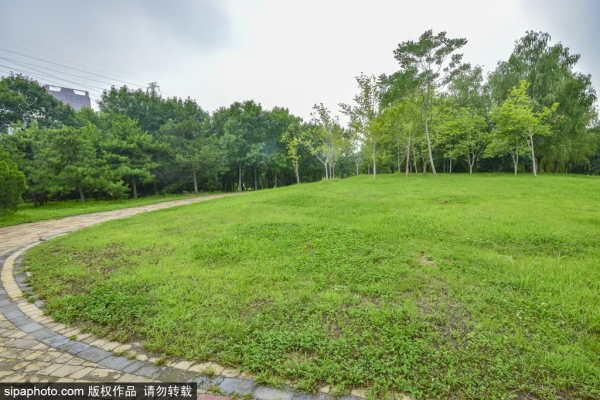 親切!家門口的這些免費小公園,承包你不出遠門的夏天! 親切!家門口的這些免費小公園,承包你不出遠門的夏天!