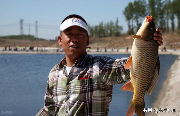 魚池老闆嫌棄捕魚太累，結果放開垂釣數日後！釣友：這可不能賴我