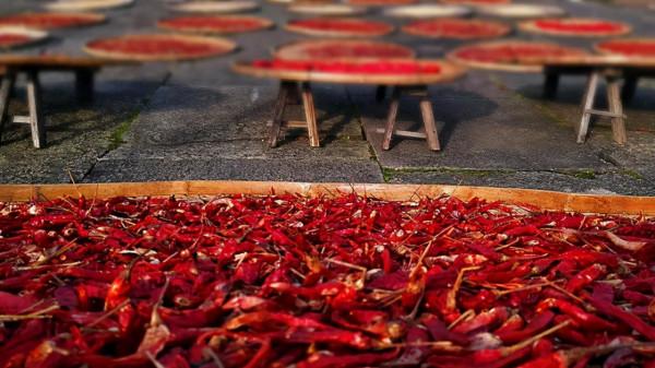 值得一去的11個古鎮，秋天風景宜人，美如畫卷！你最喜歡哪一個？