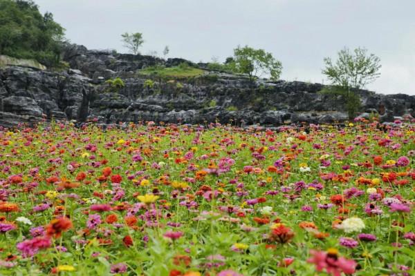 有一種心動，叫黟縣的四季