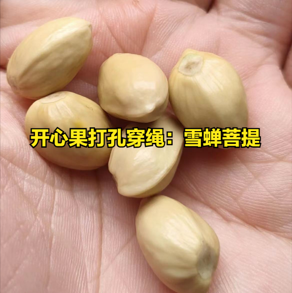 玩文玩不想花錢，有這「8種不用花錢的文玩」可以讓你一樣盤玩